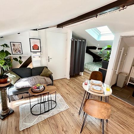 Loft Hortensia Climatise Hyper Centre Castres Castres (Tarn) Eksteriør bilde