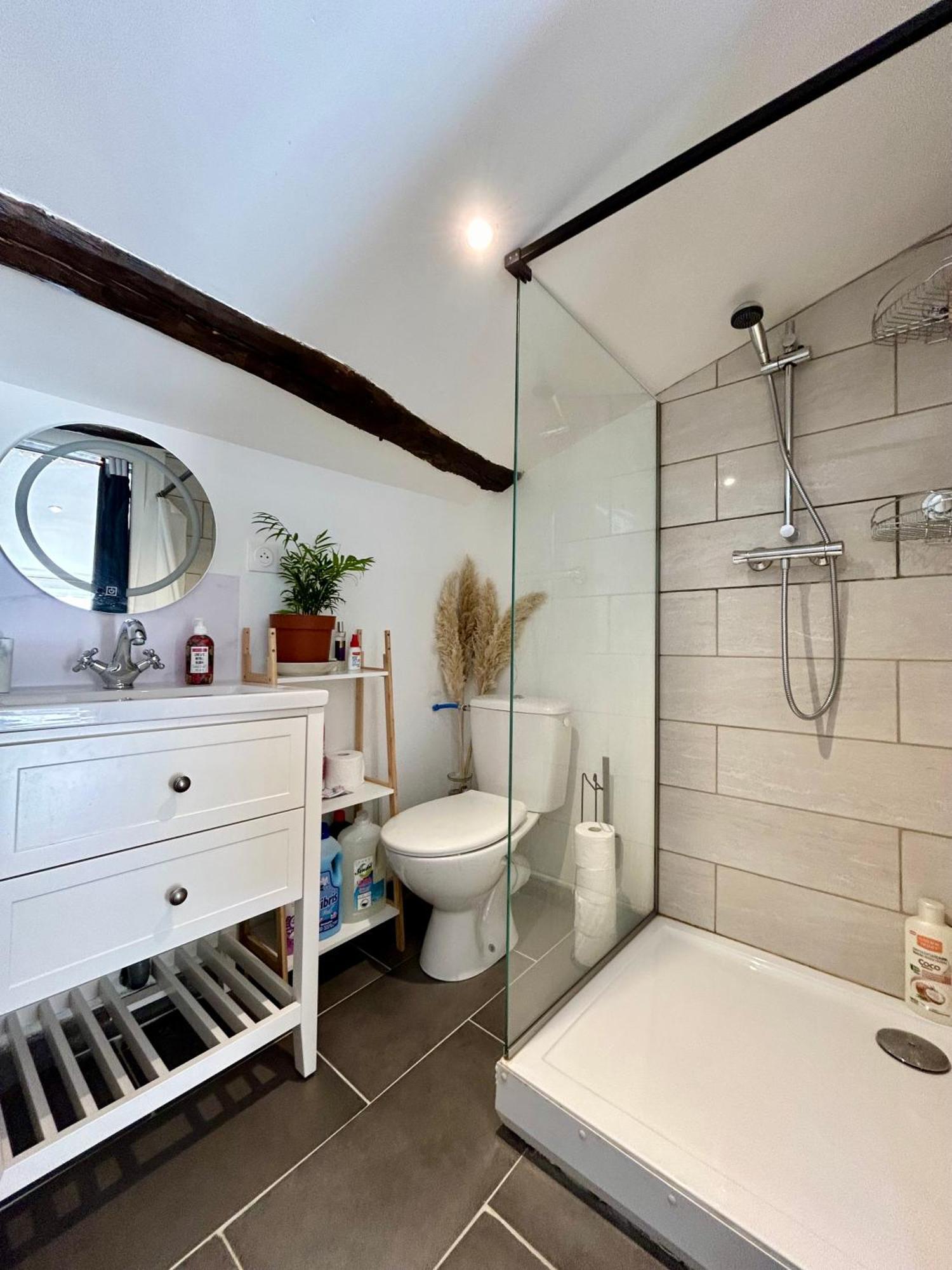 Loft Hortensia Climatise Hyper Centre Castres Castres (Tarn) Eksteriør bilde