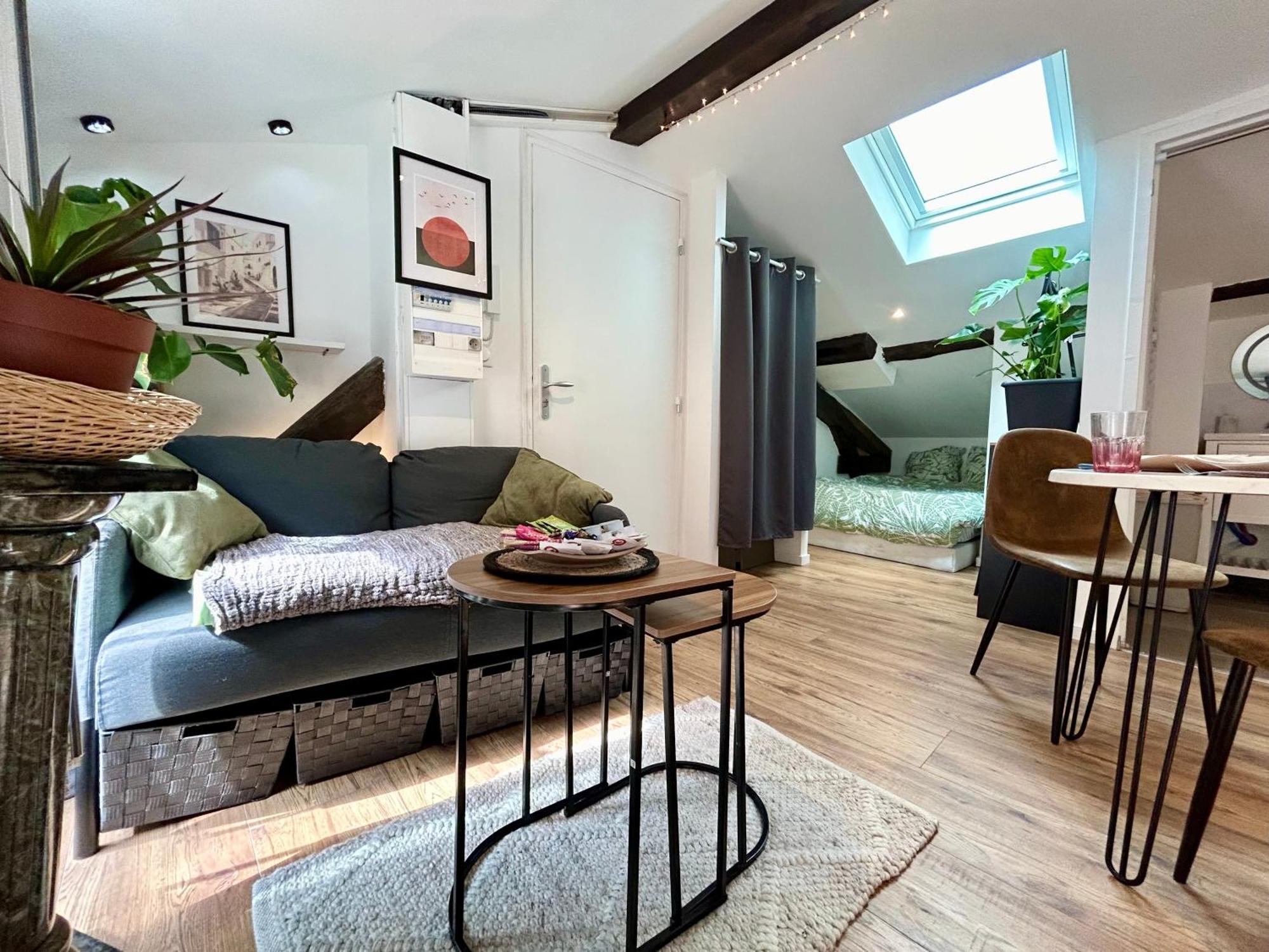 Loft Hortensia Hyper Centre Castres Castres  Eksteriør bilde