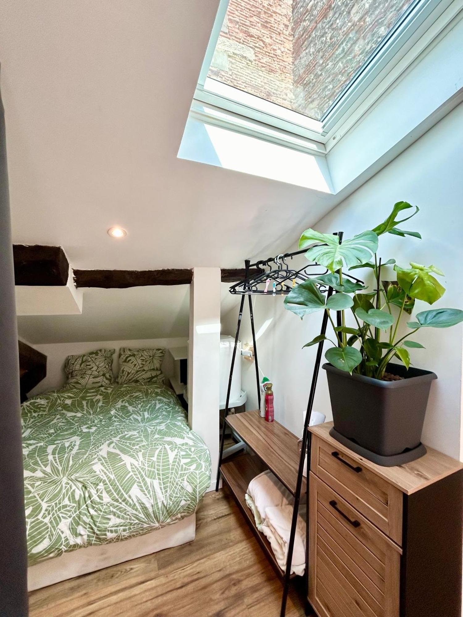 Loft Hortensia Climatise Hyper Centre Castres Castres (Tarn) Eksteriør bilde