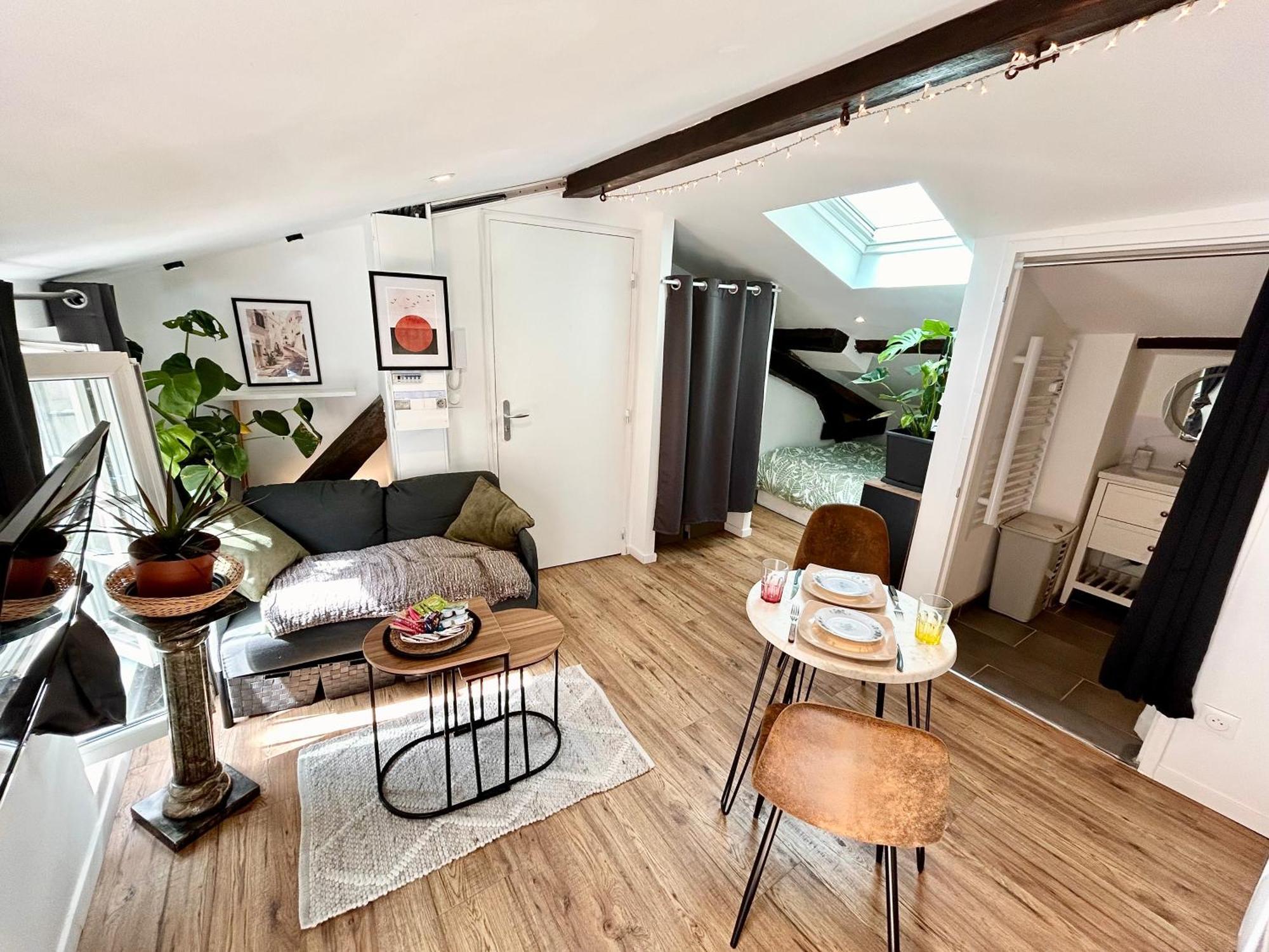 Loft Hortensia Climatise Hyper Centre Castres Castres (Tarn) Eksteriør bilde